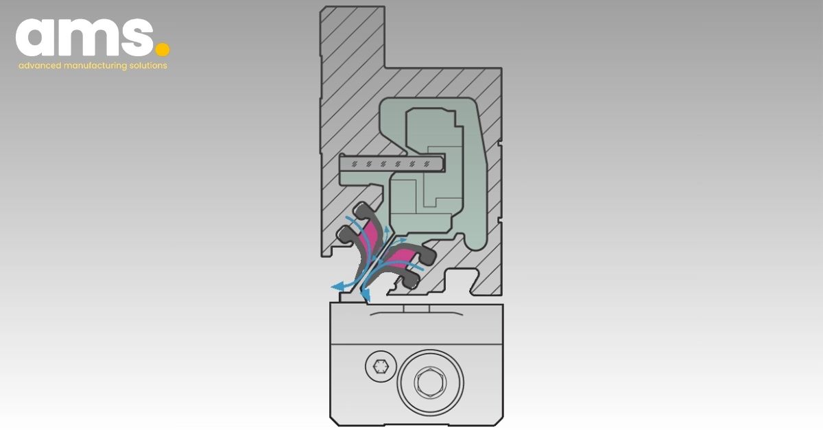 Schematic representation of the double sealing lip